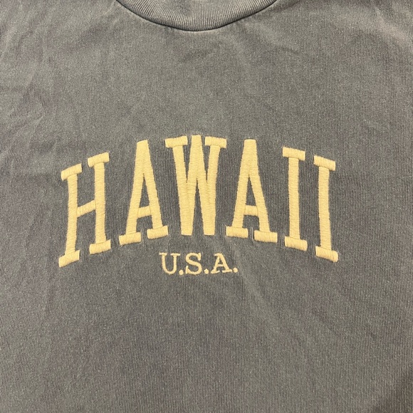 Brandy Melville Hawaii Cropped Tee, one size, blue colour - Picture 3 of 4